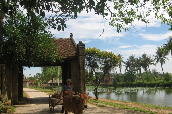 ha noi day trip to duong lam village